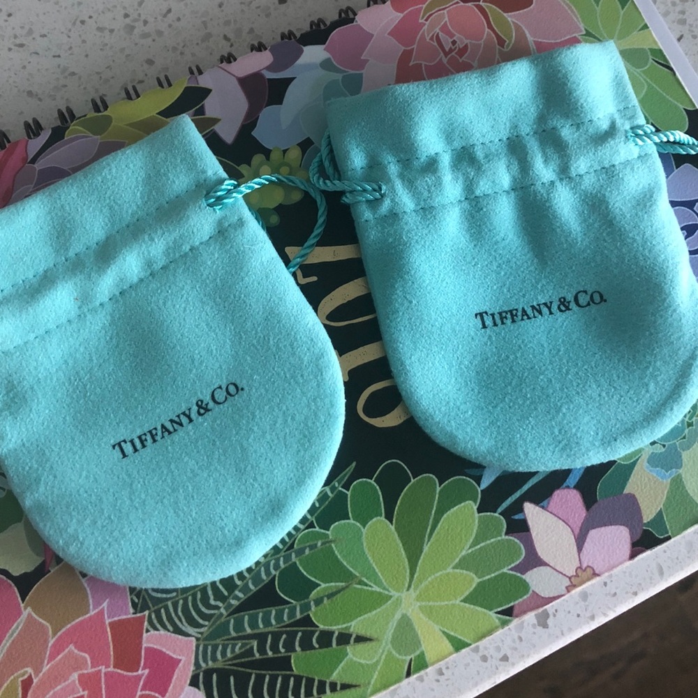 Tiffany Blue Jewelry Pouches 2018